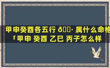 甲申癸酉各五行 🌷 属什么命格「甲申 癸酉 乙巳 丙子怎么样」